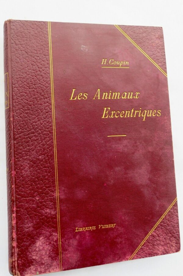 ANIMAUX EXCENTRIQUES 1906