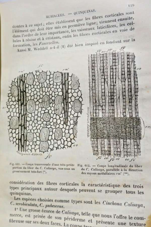 Drogues Histoire naturelle des drogues simples 1876 – Image 6