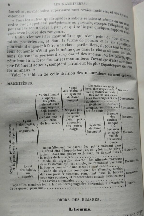 Drogues Histoire naturelle des drogues simples 1876 – Image 8