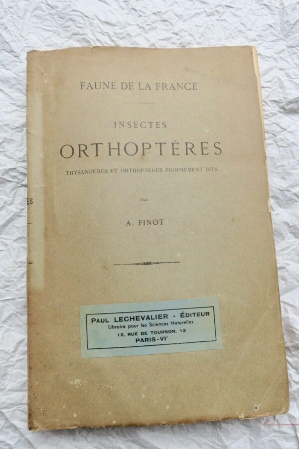 Insectes Orthoptères, Thysanoures et Orthoptères 1890 – Image 3