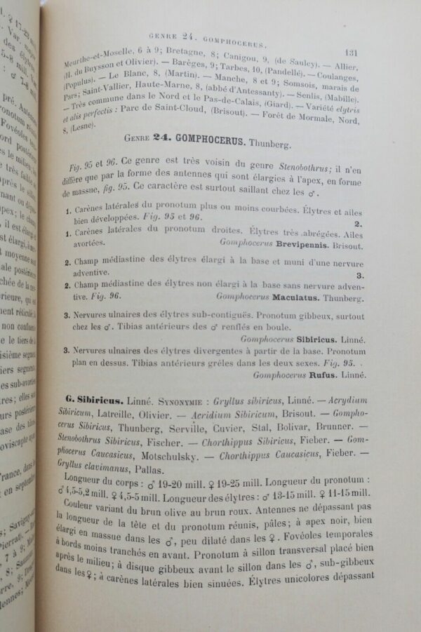 Insectes Orthoptères, Thysanoures et Orthoptères 1890 – Image 5