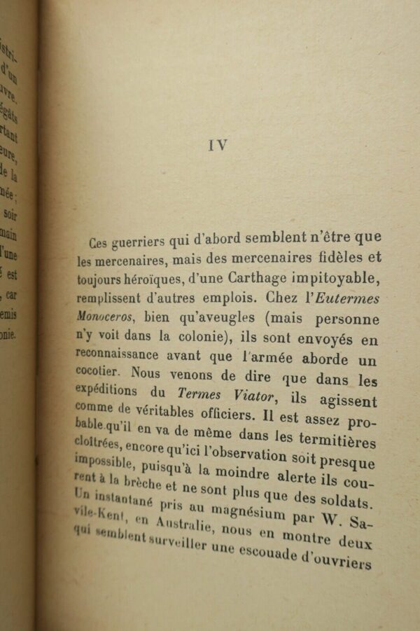 MAETERLINCK LA VIE DES TERMITES 1926 SP + dédicace – Image 5