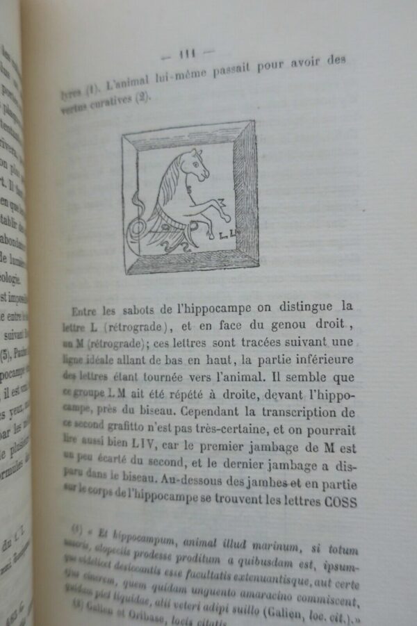 Numismatique Cachets d'oculistes Romains 1882 – Image 9