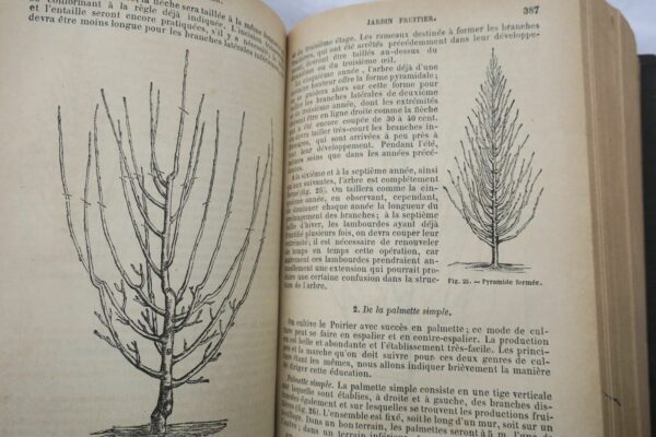 jardin Le nouveau jardinier illustré 1884 – Image 7