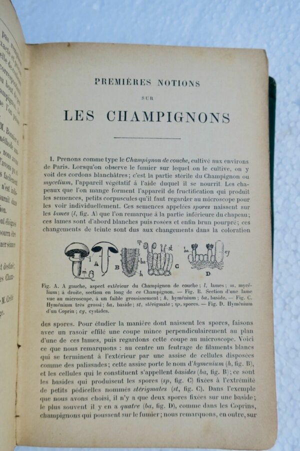 Champignons COSTANTIN J. / DUFOUR L. NOUVELLE FLORE DES CHAMPIGNONS – Image 8