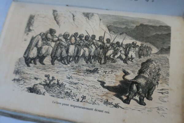 Chasse au Lion 1855 Gustave Doré – Image 4