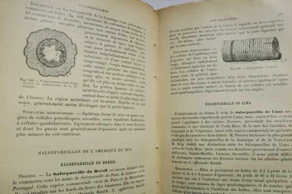 Drogues PLANCHON COLLIN Drogues simples d'origine végétale. 1895 – Image 4