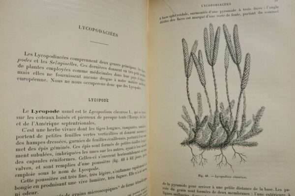 Drogues PLANCHON COLLIN Drogues simples d'origine végétale. 1895 – Image 5