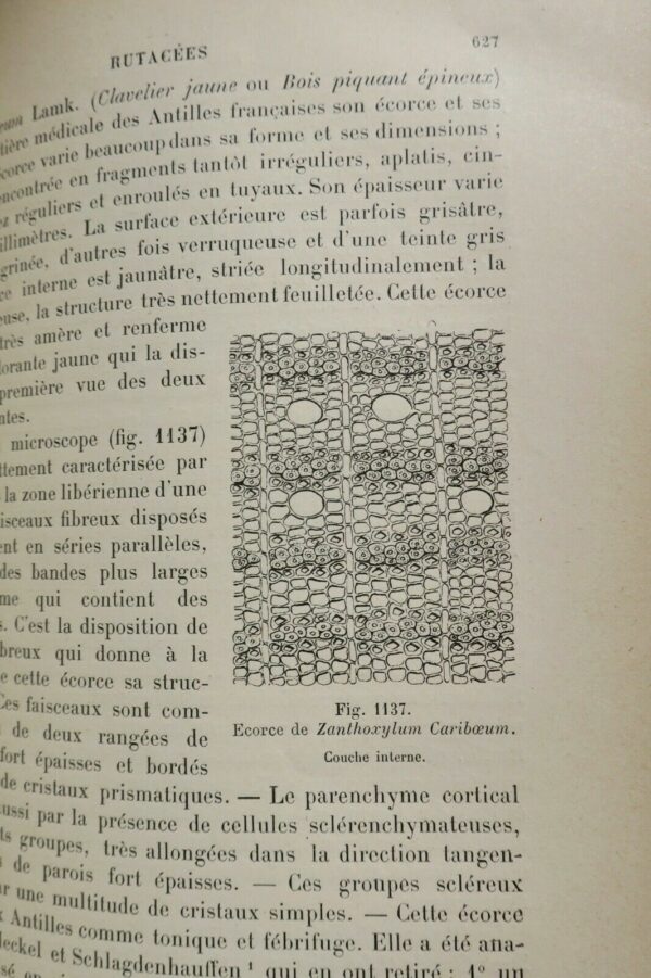 Drogues PLANCHON COLLIN Drogues simples d'origine végétale. 1895 – Image 8