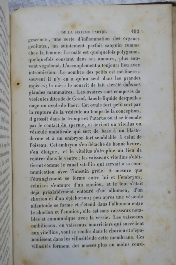 Dugès Traité de physiologie comparée de l'homme et des animaux 1839 – Image 3