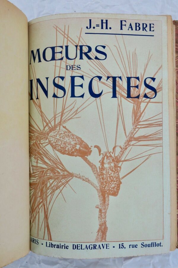 FABRE MOEURS DES INSECTES - MORCEAUX CHOISIS 1924 – Image 7