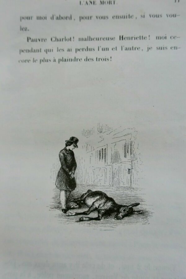 Janin L'Ane Mort  édition originale/cartonnage originale illustré par Johannot