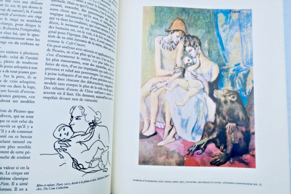 PICASSO 1900-1906: catalogue raisonné de l'oeuvre peint – Image 12