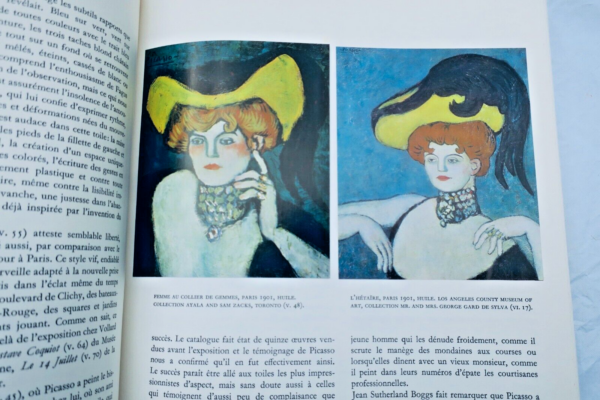 PICASSO 1900-1906: catalogue raisonné de l'oeuvre peint – Image 13