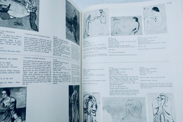 PICASSO 1900-1906: catalogue raisonné de l'oeuvre peint – Image 5