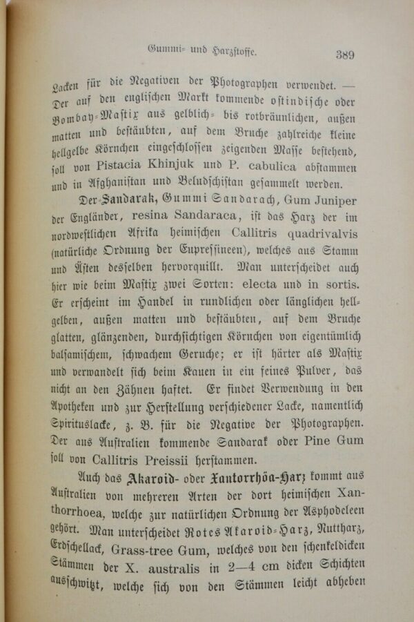 Pflanzen Praktische Pflanzenkunde für Handel, Gewerbe und Hauswirtschaft 1900 – Image 12