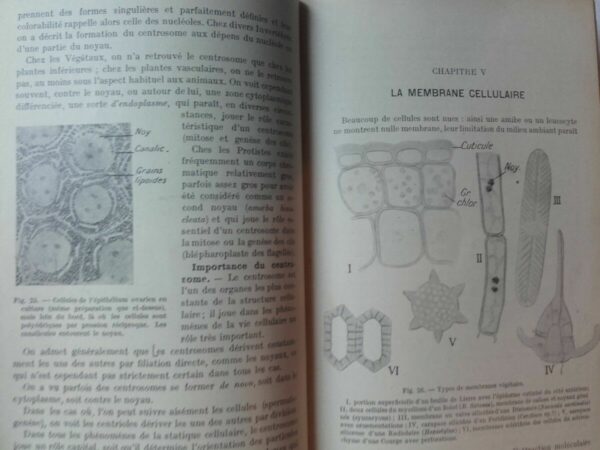 Précis d’histologie. Tome I : Histologie généréle. Tome II : Histologie des o... – Image 7