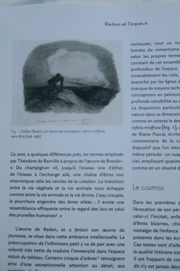 Redon Paysages D'Odilon Redon: La Nature Silencieuse – Image 14