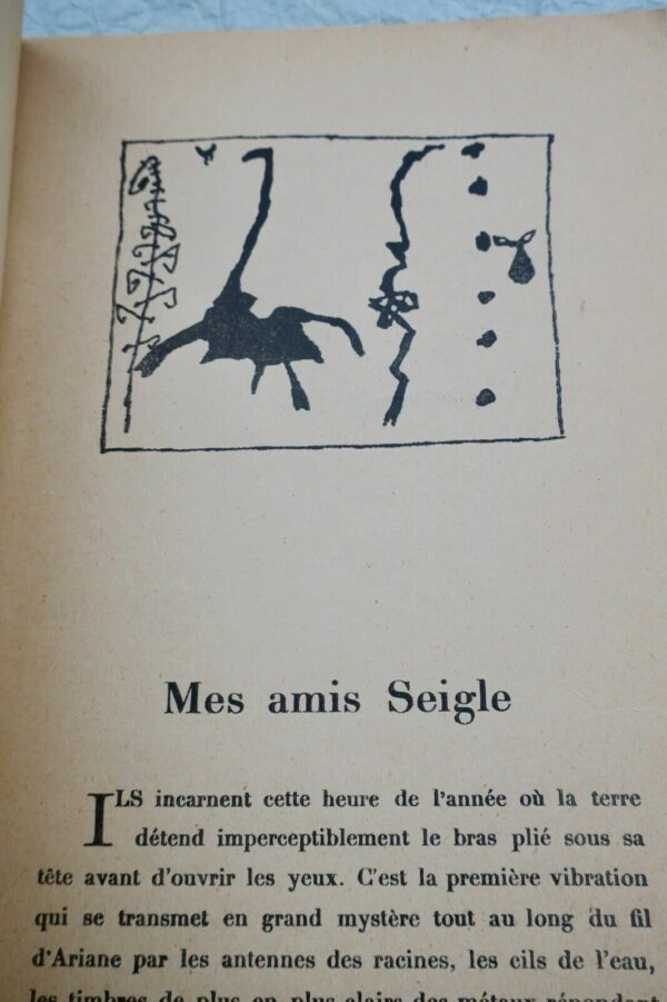 Seigle André Breton  Catalogue de l'exposition Seigle à la Galerie Creuze 1951 – Image 5