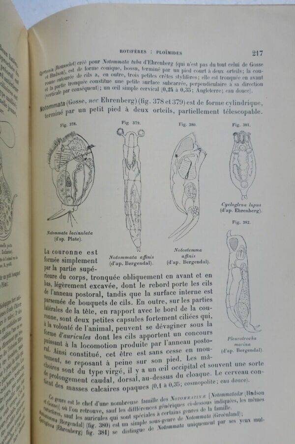 Traité de zoologie concrète. Tome V: Les vermidiens 1897 – Image 5