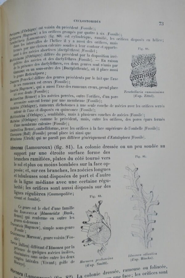 Traité de zoologie concrète. Tome V: Les vermidiens 1897 – Image 8