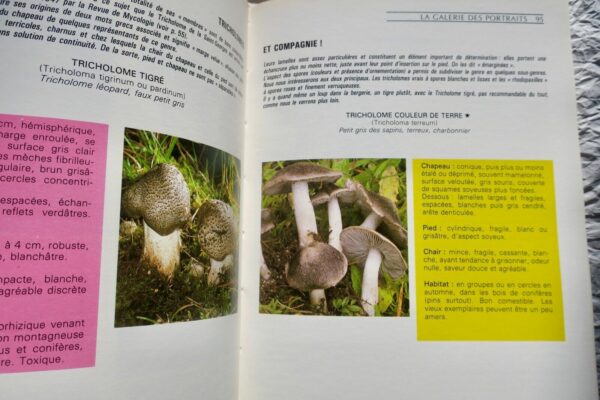 champignon  RECONNAITRE - CULTIVER - CUISINER - LES CHAMPIGNONS – Image 7