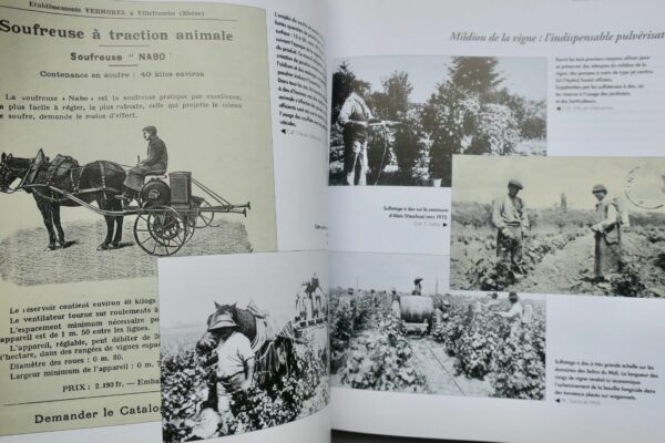 Agriculture Protection des cultures et travail des hommes – Image 11