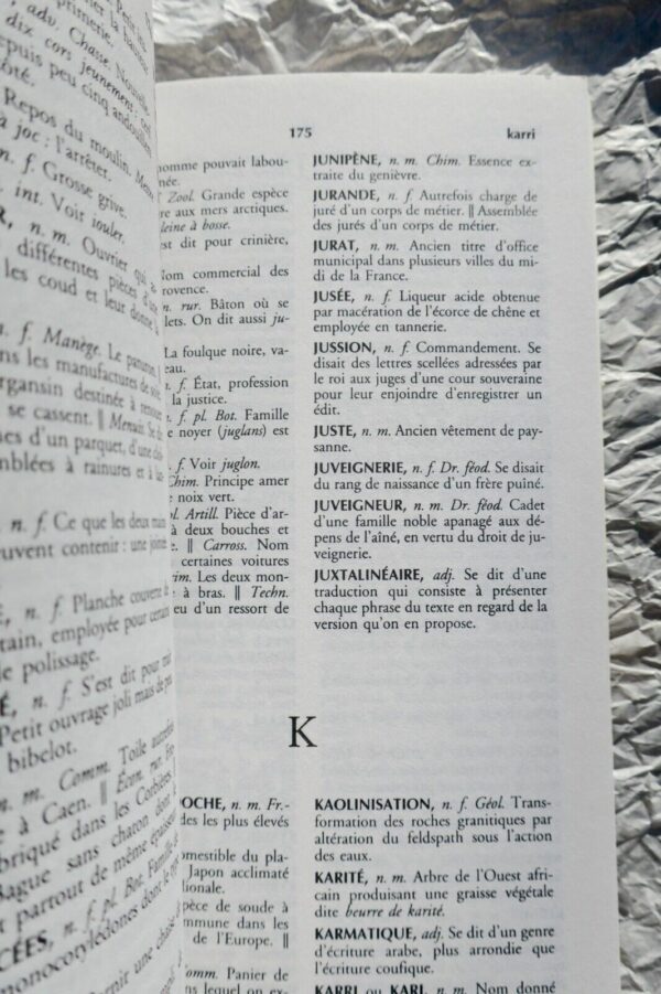 Dictionnaire des mots rares et précieux – Image 4