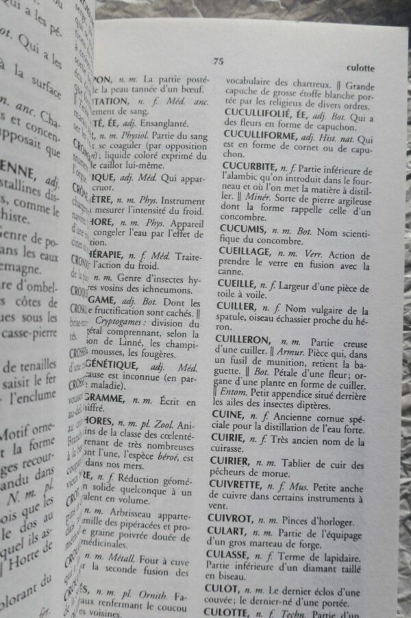 Dictionnaire des mots rares et précieux – Image 5