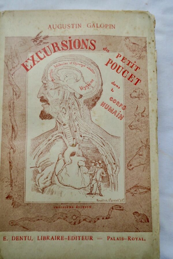 Excursions du Petit Poucet, dans le corps humains et dans les animaux 1886