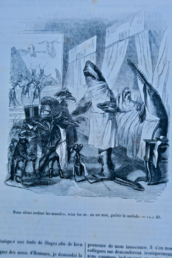 GRANDVILLE Scènes de la vie publique et privée des animaux 1852