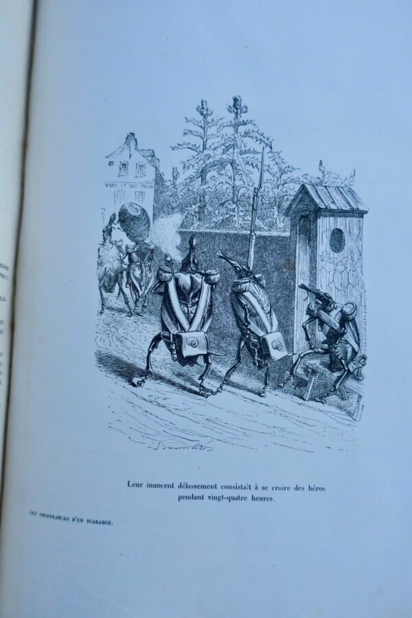 GRANDVILLE Scènes de la vie publique et privée des animaux 1852 – Image 9