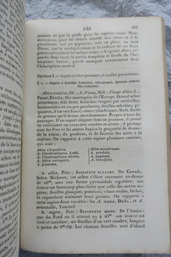 JARDIN bon jardinier. Almanach agricole pour l'année 1863 – Image 4