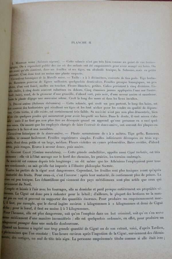 Jardin Coupin, Henri. Les plantes qui nourrissent, qui guérissent, 1905 – Image 10