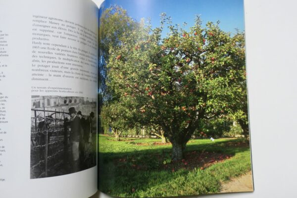 LE POTAGER DU ROI 1998 – Image 3