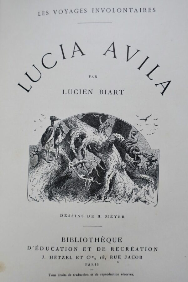 LUCIA AVILA Hetzel – Image 4