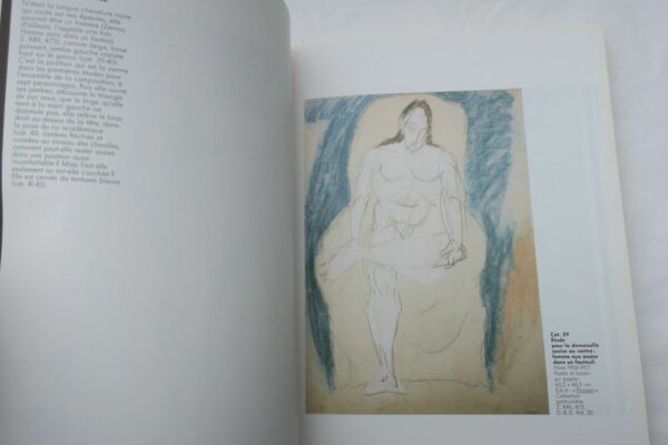 PICASSO Les demoiselles d'Avignon 3 - Volume 1 - Musée Picasso – Image 9