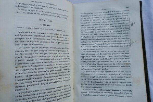 TRAITÉ PRATIQUE DE LA DÉTERMINATION DES DROGUES SIMPLES D'ORIGINE VÉGÉTALE 1875 – Image 6