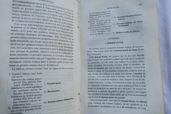 TRAITÉ PRATIQUE DE LA DÉTERMINATION DES DROGUES SIMPLES D'ORIGINE VÉGÉTALE 1875 – Image 7