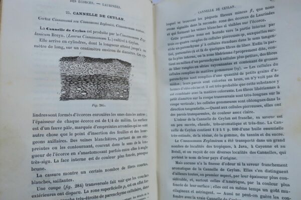 TRAITÉ PRATIQUE DE LA DÉTERMINATION DES DROGUES SIMPLES D'ORIGINE VÉGÉTALE 1875