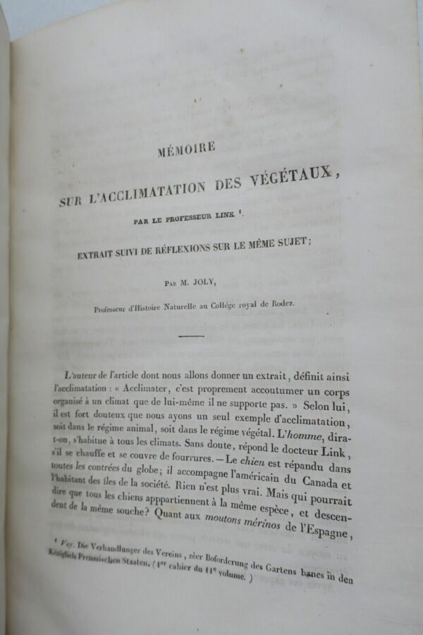 1837 revue du Midi – Image 7