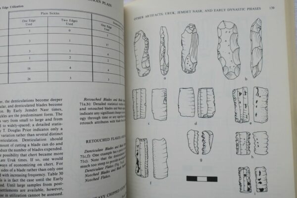 An Early Town on the Deh Luran Plain: Excavations at Tepe FARUKHABAD – Image 9