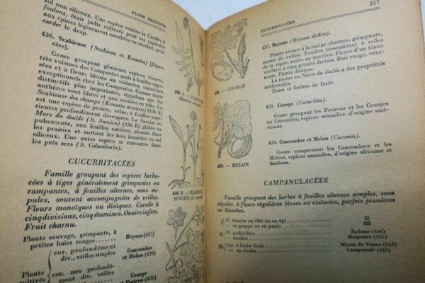 Flore pratique 1950 – Image 3