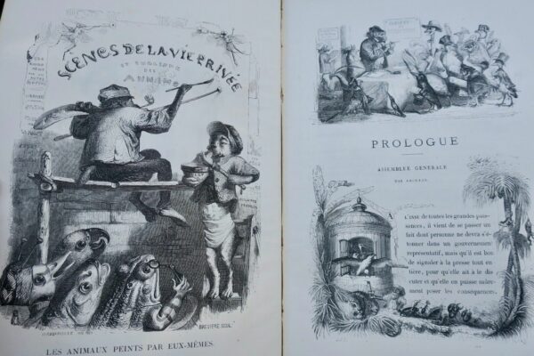 Grandville VIE PRIVÉE ET PUBLIQUE DES ANIMAUX HETZEL 1868 – Image 13