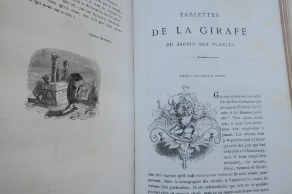 Grandville VIE PRIVÉE ET PUBLIQUE DES ANIMAUX HETZEL 1868 – Image 16