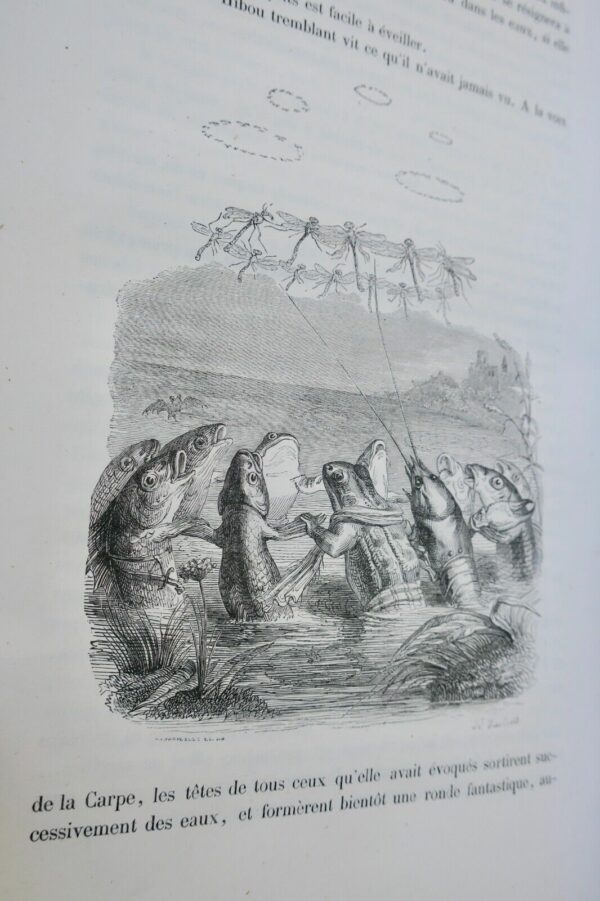 Grandville VIE PRIVÉE ET PUBLIQUE DES ANIMAUX HETZEL 1868 – Image 17