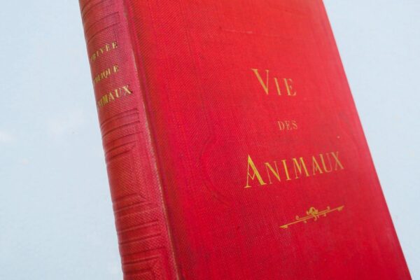 Grandville VIE PRIVÉE ET PUBLIQUE DES ANIMAUX HETZEL 1868 – Image 3