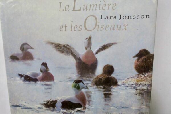 Oiseaux LUMIÈRE ET LES OISEAUX – Image 3