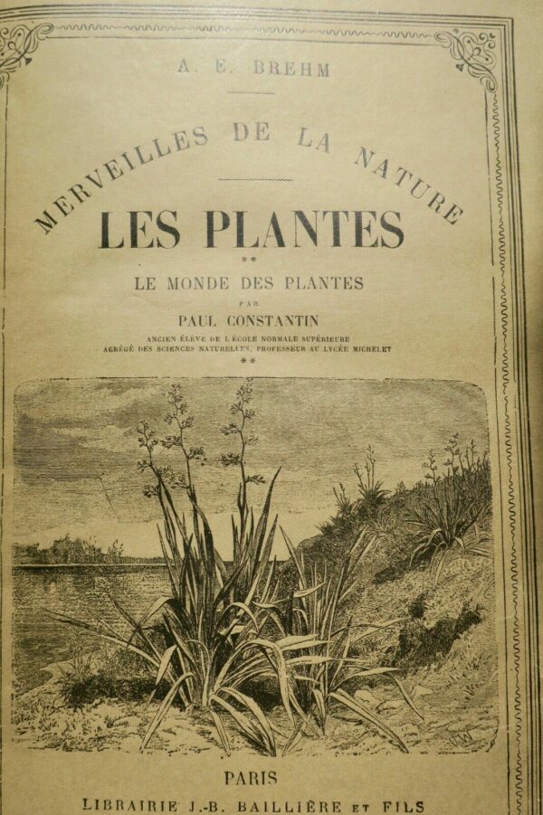 Plantes BREHM MERVEILLES DE LA NATURE 3/3 – Image 4