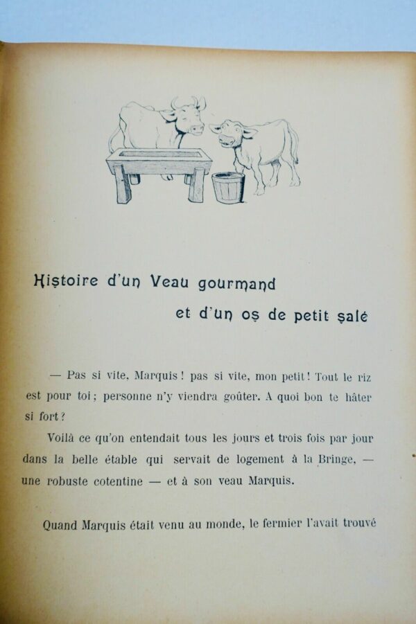 RABIER - LEROY-ALLAIS (Jeanne) Chez les Bêtes. Illustrations de Benjamin RABIER – Image 9